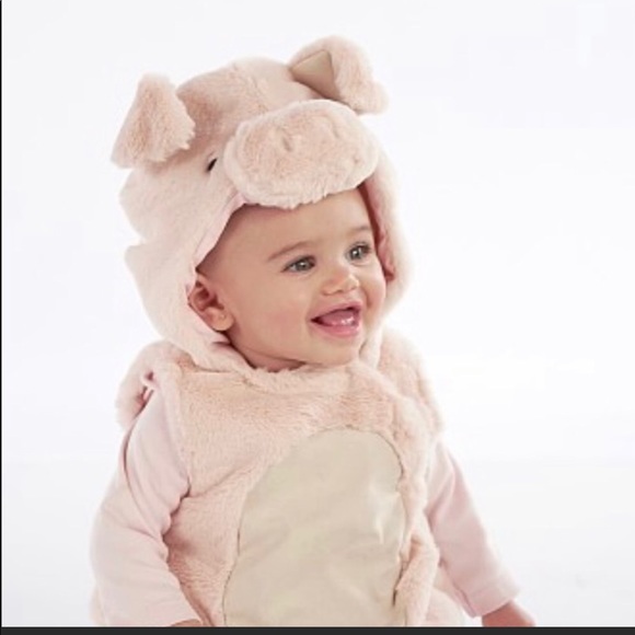 Pottery Barn Kids Costumes Pottery Barn Kids Baby Piglet Custume 6 Months Poshmark